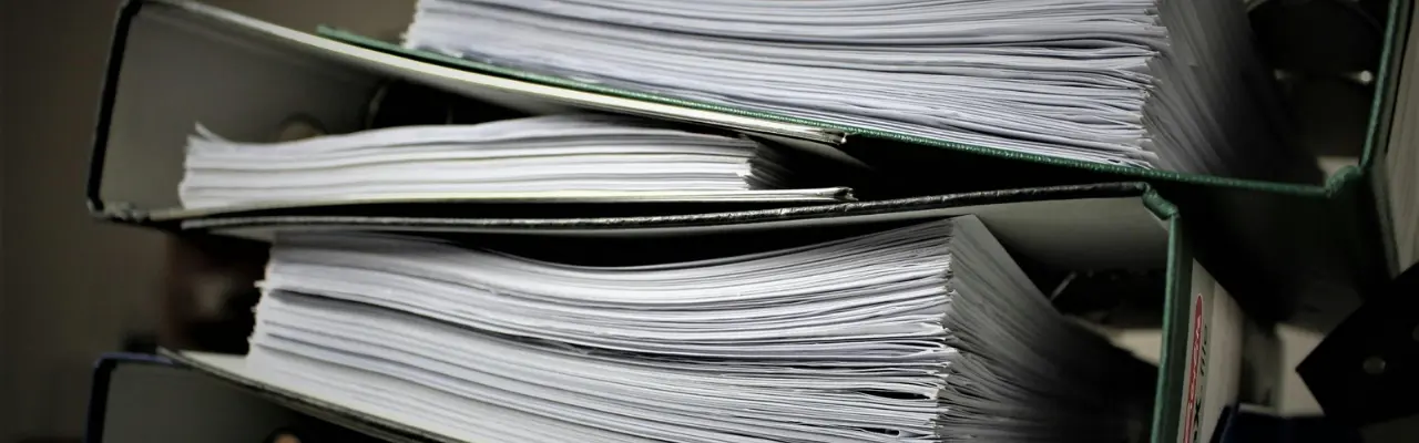 A note on the evidence in the judicial appeal against a negative rating in the land registry