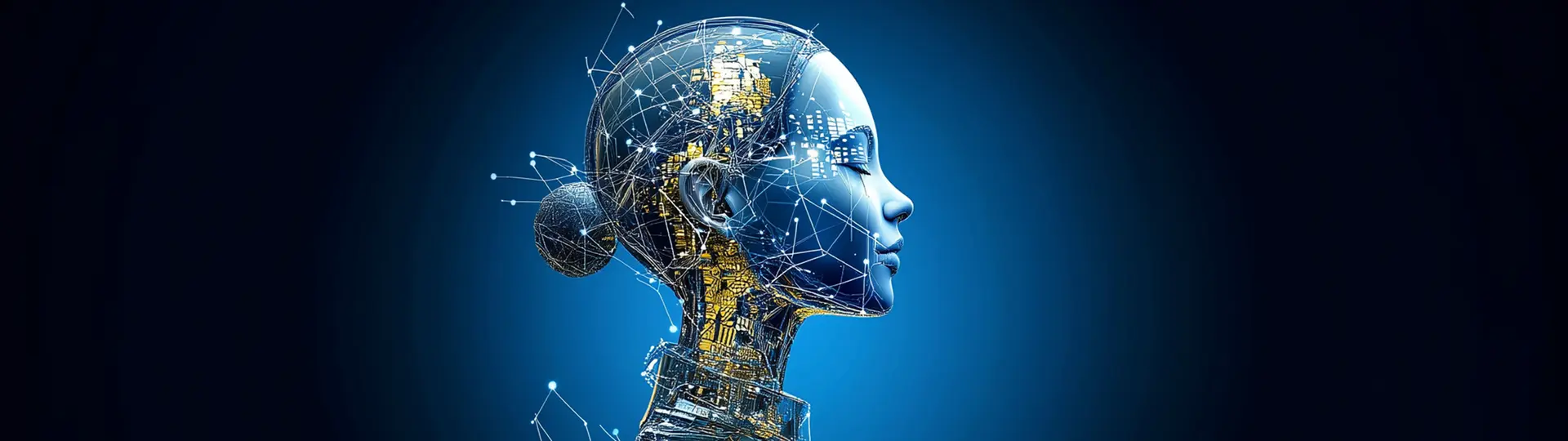 The European Regulation on Artificial Intelligence (AI Act)