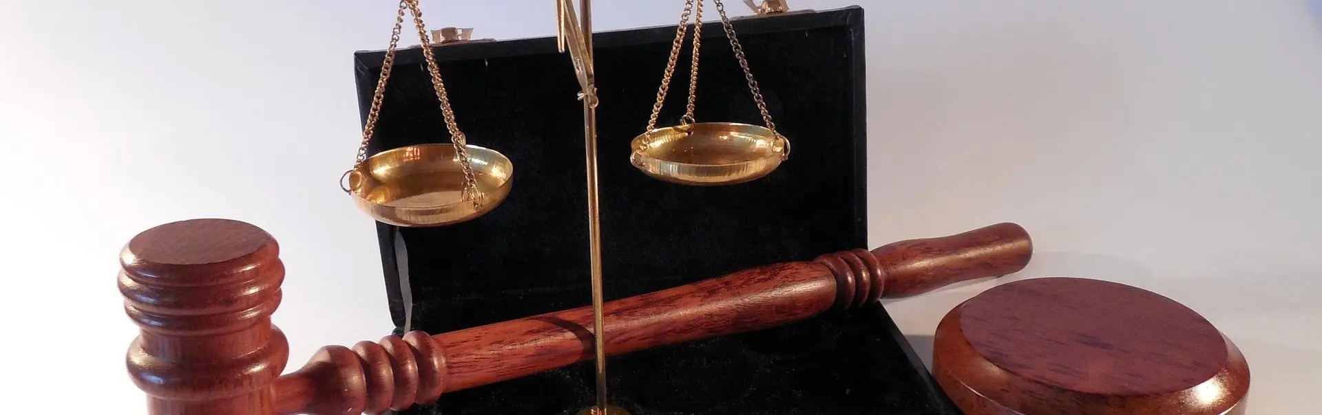 Top lawyers for business_Law Firm of the Year 2022