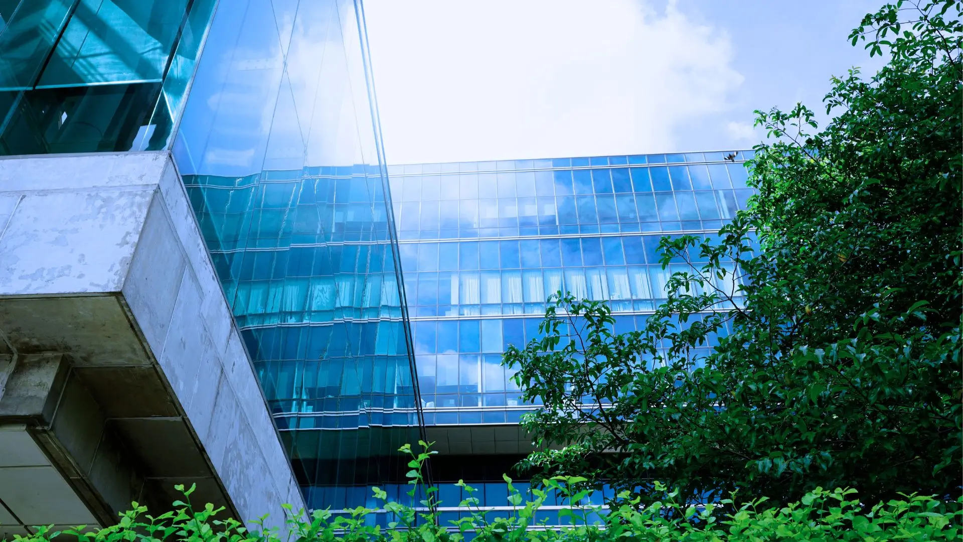 Guest Editorial: The Captivating Field of Lawyering in CEE