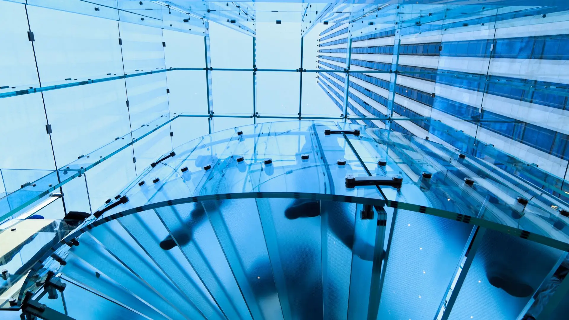 Assisted Pluxee Romania in restructuring its decision-making body.