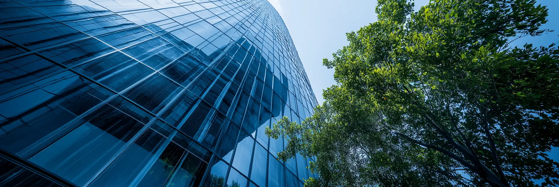 act legal contributes to prestigious global publication Chambers Environmental Law 2025
