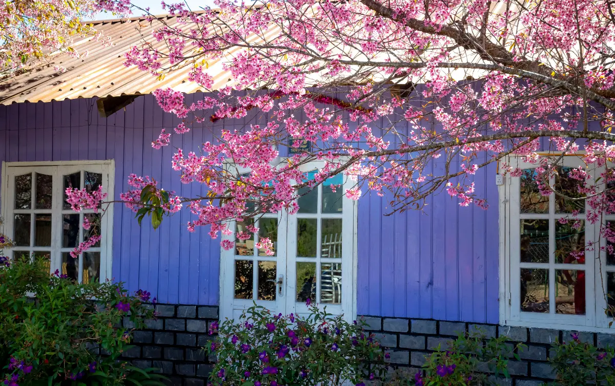 Newsletter Tenancy and Housing Law – OGH Case Law Update April 2026 