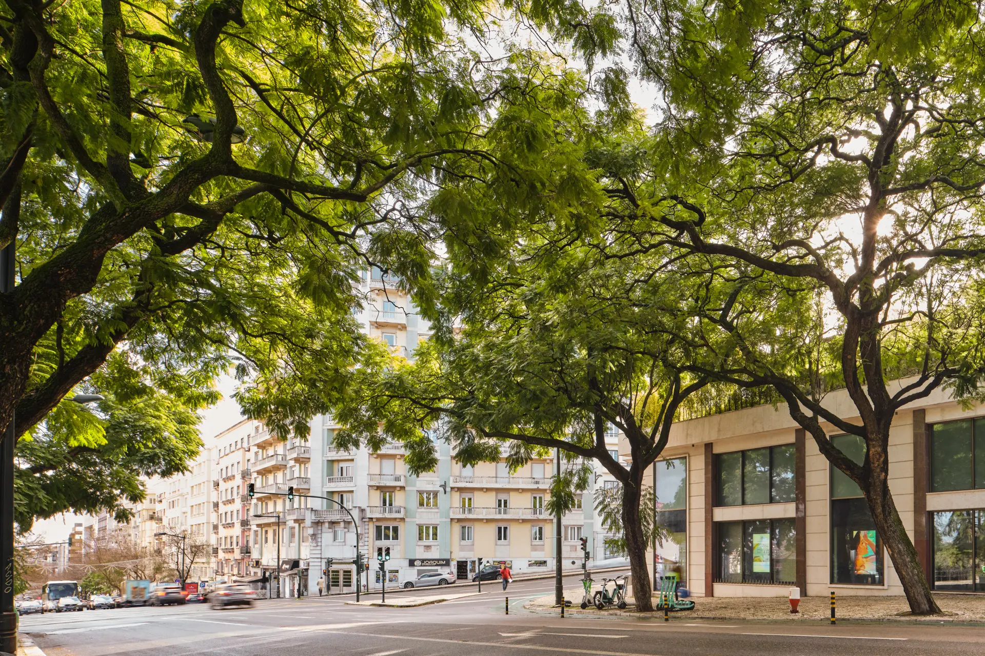 Lisbon
