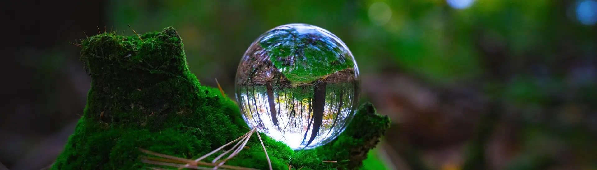 Environmental associations are participating in construction proceedings again