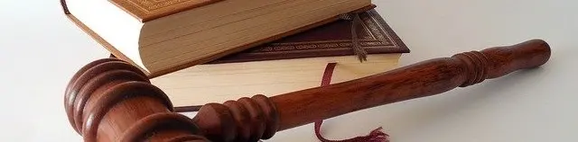 In administrative proceedings involving a large number of participants, the appellant must be served individually