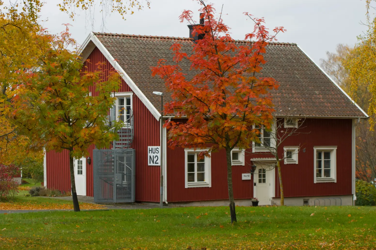 Tenancy and Housing Law – OGH Case Law Update October 2026  