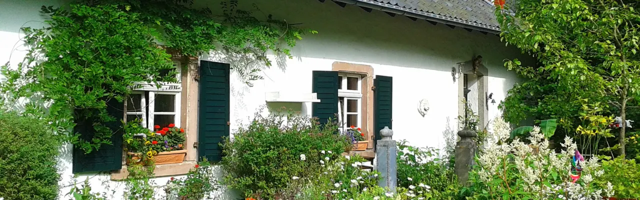 Newsletter Tenancy and Housing Law – OGH Case Law Update May 2026  
