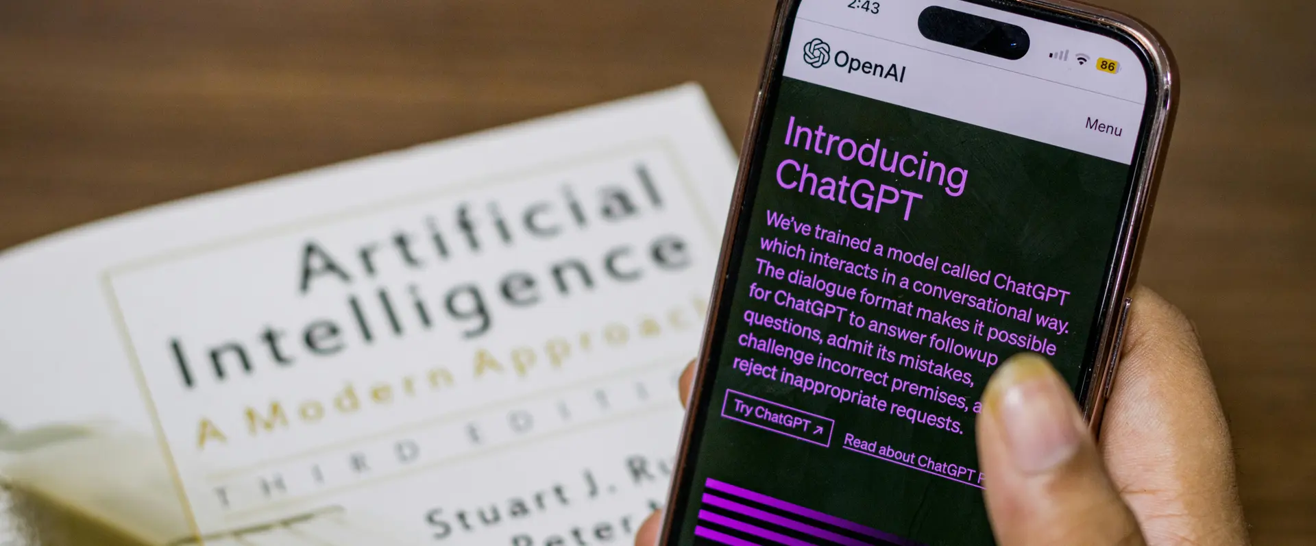 The possible consequences of misusing AI in procedural filings.