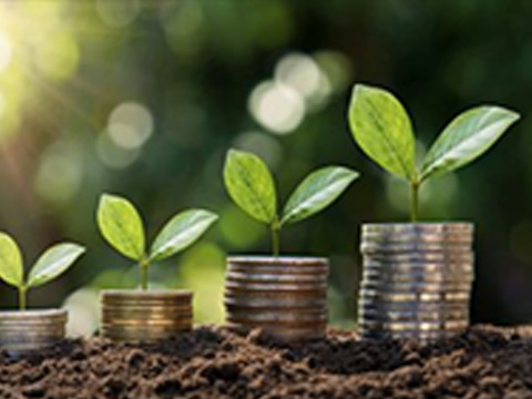 Framework agreements in purchasing: Managing supply and price risks